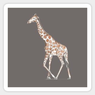 Giraffe Walking Sticker